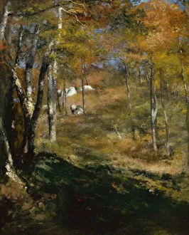 Young Trees in the Forest, 1866 (oil on canvas)