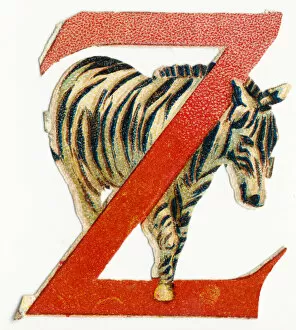 Z Zebra - image of animals in decoupi, end of 19th century (chromolithograph)