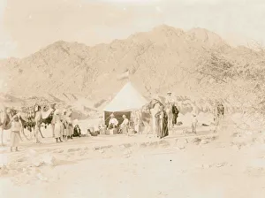 American Colony Photo Dept expedition camp Sinai American Colony Photo Dept expedition camp Sinai