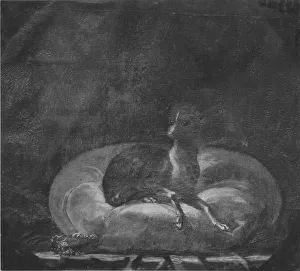 Attributed David von Krafft Small Greyhound painting Attributed David von Krafft Small Greyhound painting