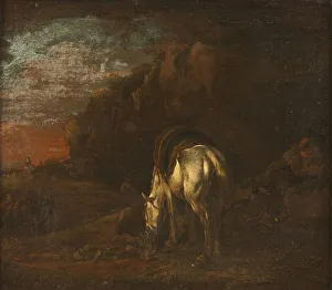 Attributed Michelangelo Cerquozzi Landscape White Horse Grazing Attributed Michelangelo Cerquozzi Landscape White Horse Grazing