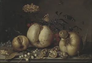 Balthasar van der Ast Life Fruit Shells Fruits Balthasar van der Ast Life Fruit Shells Fruits