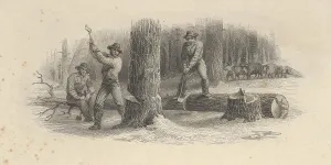 Banknote vignette showing woodsmen felling trees Banknote vignette showing woodsmen felling trees