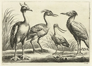 Four birds, Pieter van Lisebetten, Wenceslaus Hollar, Francis Barlow, 1654 - 1678 Four birds, Pieter van Lisebetten, Wenceslaus Hollar, Francis Barlow, 1654 - 1678