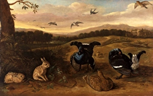 Black Game, Rabbits, and Swallows in a Park Black Game, Rabbits and Swallows in the Black Game, Rabbits, and Swallows in a Park Black Game, Rabbits and Swallows in the