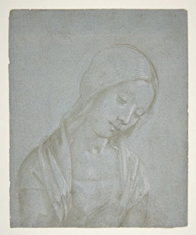 Bust Young Woman ca 1495 Metalpoint highlighted Bust Young Woman ca 1495 Metalpoint highlighted