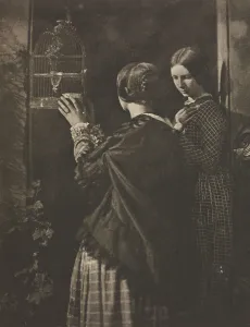 Camera Work Bird-Cage 1909 David Octavius Hill Camera Work Bird-Cage 1909 David Octavius Hill