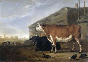 Cattle Two oxen farm foreground pigeons manuscript Cattle Two oxen farm foreground pigeons manuscript