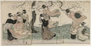 Cherry Blossoms in the Wind, late 1790s. Utagawa Toyokuni (Japanese, 1769-1825). Triptych of woodblock prints, ink and color on paper; overall: 38.7 x 80 cm (15 1/4 x 31 1/2 in.) Cherry Blossoms Wind late 1790s Utagawa Toyokuni