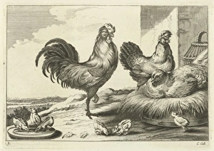 Chicken, roosters and chicks, Pieter van Lisebetten, Wenceslaus Hollar, Francis Barlow Chicken, roosters and chicks, Pieter van Lisebetten, Wenceslaus Hollar, Francis Barlow