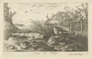 Chub, Squalius cephalus on a riverbank, print maker: Albert Flamen, Jacques van Merlen Chub, Squalius cephalus on a riverbank, print maker: Albert Flamen, Jacques van Merlen