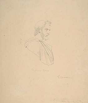 Classical Bust Bearded Male Profile 1771-1844 Classical Bust Bearded Male Profile 1771-1844