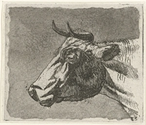 cow, print maker: Johannes Janson, 1761 - 1784 cow, print maker: Johannes Janson, 1761 - 1784