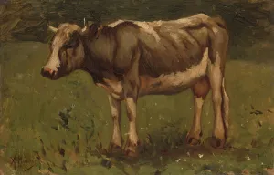 Cow standing cow meadow left cow Anton Mauve Cow standing cow meadow left cow Anton Mauve