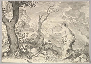 Death Adonis Engraving fourth state four BN sheet Death Adonis Engraving fourth state four BN sheet
