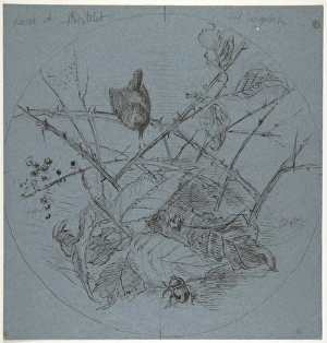 Karl Bodmer Gallery: Design Plate 1825-93 Pen black ink chalk 12 1 / 4 x 11 3 / 4