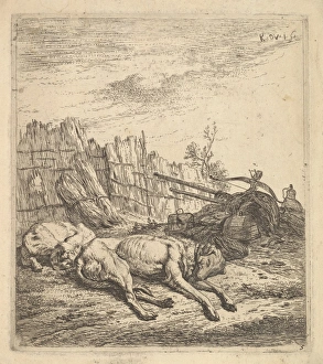 Two dogs sleeping ground plough farm equipment Two dogs sleeping ground plough farm equipment