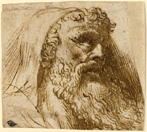 Domenico Campagnola, Italian (before 1500-1564), Head of a Man, pen and brown ink Domenico Campagnola, Italian (before 1500-1564), Head of a Man, pen and brown ink