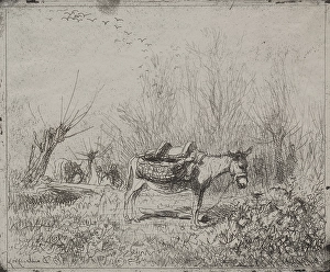 Donkey Field original impression 1862 printed Donkey Field original impression 1862 printed