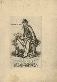 Drawings Prints, Print, Prophet Haggai, Prophets Sibyls, Artist, Francesco Rosselli Drawings Prints, Print, Prophet Haggai, Prophets Sibyls, Artist, Francesco Rosselli
