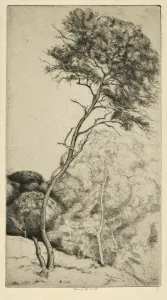 Drawings Prints, Print, Wand, Artist, Ernest Haskell, American, Woodstock, Connecticut Drawings Prints, Print, Wand, Artist, Ernest Haskell, American, Woodstock, Connecticut