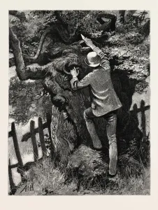 DRAWN BY ARTHUR HOPKINS, THE TREE, engraving 1884, life in Britain, UK, britain, british DRAWN BY ARTHUR HOPKINS, THE TREE, engraving 1884, life in Britain, UK, britain, british