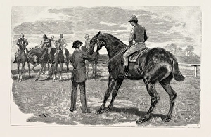 DRAWN BY JOHN CHARLTON, HORSE, engraving 1884, life in Britain, UK, britain DRAWN BY JOHN CHARLTON, HORSE, engraving 1884, life in Britain, UK, britain