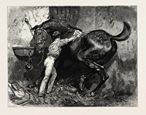 DRAWN BY JOHN CHARLTON Rubbing down the Dancing Master, engraving 1884, life in Britain DRAWN BY JOHN CHARLTON Rubbing down the Dancing Master, engraving 1884, life in Britain