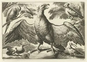 Eagle, Pieter van Lisebetten, Wenceslaus Hollar, Francis Barlow, 1654-1678 Eagle, Pieter van Lisebetten, Wenceslaus Hollar, Francis Barlow, 1654-1678