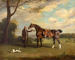 The Earl of Shrewsburys Groom Holding a Hunter A Groom with a Bay Hunter in a Park The Earl of Shrewsburys Groom Holding a Hunter A Groom with a Bay Hunter in a Park