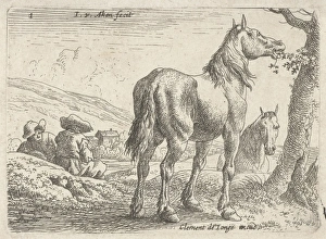 Eating horse, Jan van Aken, Clement de Jonghe, 1624 - 1661 Eating horse, Jan van Aken, Clement de Jonghe, 1624 - 1661