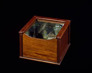 Eighteenth century optical box mirrors Engelbrecht Eighteenth century optical box mirrors Engelbrecht