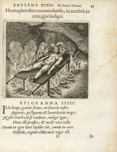 Emblema XXXIII Hermaphroditus mortuo similis Emblema XXXIII Hermaphroditus mortuo similis