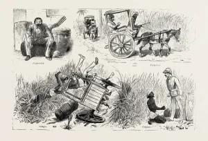 Experiences of a Traveller in an Indian Country Cart Experiences of a Traveller in an Indian Country Cart