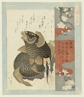 Flying plum Tobiume title object series Hanazono poetry association Flying plum Tobiume title object series Hanazono poetry association