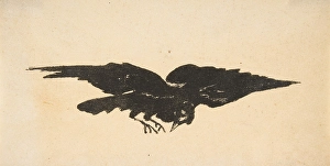 Flying Raven Ex Libris Raven Edgar Allan Poe Flying Raven Ex Libris Raven Edgar Allan Poe