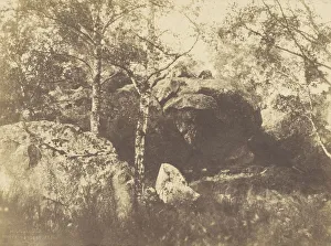 Fontainebleau Charles Marville French 1813 1879 Fontainebleau Charles Marville French 1813 1879