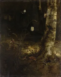 Forest Floor Snake Lizards Butterflies Insects Forest Floor Snake Lizards Butterflies Insects