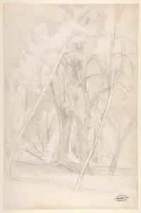 Forest Interior 1835-1916 Graphite 16 7/8 x 11 Forest Interior 1835-1916 Graphite 16 7/8 x 11