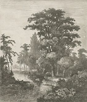 forest scene with two ducks nesting in a river, Hermanus Jan Hendrik van Rijkelijkhuysen forest scene with two ducks nesting in a river, Hermanus Jan Hendrik van Rijkelijkhuysen