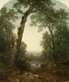Forest Stream Vista 1872 Asher Brown Durand American Forest Stream Vista 1872 Asher Brown Durand American