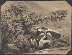 Forets et Montagnes 1830-64 Graphite white heightening Forets et Montagnes 1830-64 Graphite white heightening