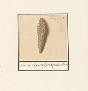 Fulgurite lightning tube thunder stone sagitta fulguris Fulgurite lightning tube thunder stone sagitta fulguris