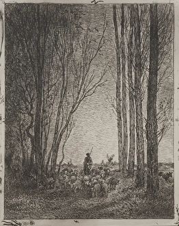 Gathering Flock original impression 1862 printed Gathering Flock original impression 1862 printed