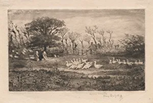 Geese 1887 Felix Hilaire Buhot French 1847-1898 Geese 1887 Felix Hilaire Buhot French 1847-1898