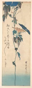 Grasshopper Morning-glory Vine Edo period 1615-1868 Grasshopper Morning-glory Vine Edo period 1615-1868