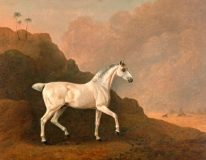A Grey Arab Stallion in a Desert Landscape, John Boultbee, 1753-1812, British A Grey Arab Stallion in a Desert Landscape, John Boultbee, 1753-1812, British
