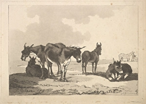 Group Five Donkeys Three Standing Two Lying 1783 Group Five Donkeys Three Standing Two Lying 1783