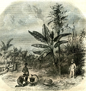 <b class=qtipBold><figcaption>Engravings</figcaption></b><br><br><em>© copyright Quint Lox Limited</em> Engravings