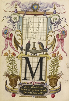 Guide Constructing Letter M Joris Hoefnagel Flemish Guide Constructing Letter M Joris Hoefnagel Flemish